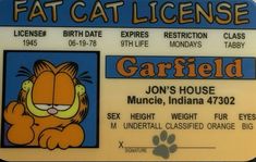 a close up of a sign with a cat on it's front and back side