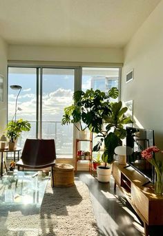 a living room filled with lots of furniture and plants on top of a wooden table