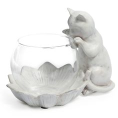 a glass bowl with a cat sitting on it's side next to a fish bowl