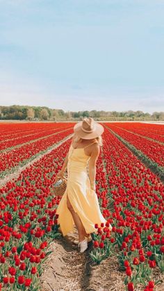 a woman in a yellow dress and straw hat walking through a field of red tulips