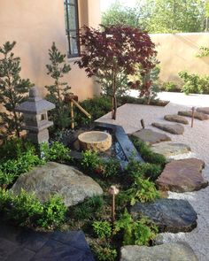 a small garden with rocks and trees in it