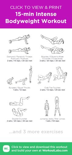 an exercise poster with instructions to use for the back and side planks, including exercises