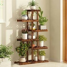 a wooden shelf filled with potted plants on top of each other