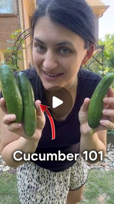 a woman holding cucumbers in front of her face with the caption, cucumber 101