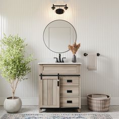 a bathroom with a sink, mirror and potted plant on the floor next to it