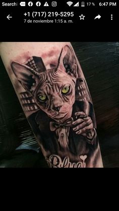 a cat with yellow eyes is on the arm