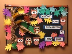 a bulletin board with owls and leaves on it that says whooo can breastfeed?