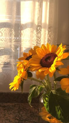 sunflowers are in a clear vase by the window