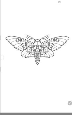 a drawing of a moth on a white background