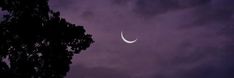 the crescent moon is seen in the sky above some trees at night with purple clouds