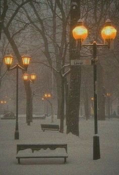 a park bench covered in snow next to street lights