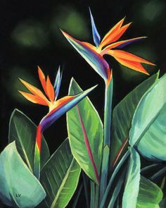 a painting of two colorful birds of paradise flowers