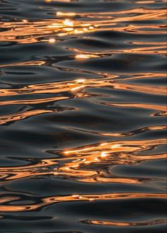 the sun shines brightly in the water as it reflects on the surface of the water