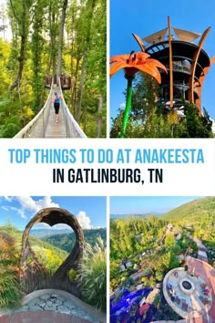 the top things to do at anakeesta in gatlinburg, tn