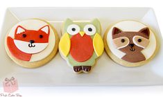 three decorated cookies on a white plate with an owl, fox and raccoon design