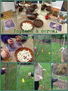 a collage of photos showing different activities in the garden with text overlay that reads popcorn & cereal bird feeder