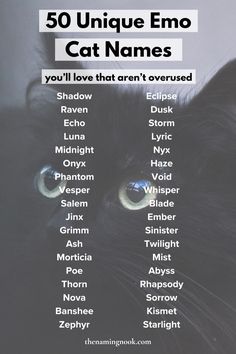 a black cat with the words 50 unique emo cats names in front of it