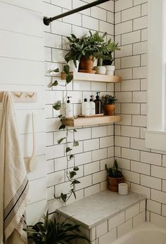 a white tiled bathroom with shelves and plants on the wall, along with a bathtub