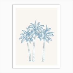 three blue palm trees against a white background