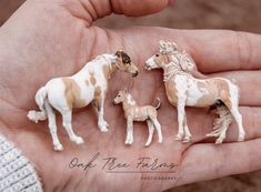 three miniature horses are being held in the palm of someone's hand with two baby ones