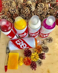 some pine cones are sitting on a table next to spray paint and other items that include pine cones