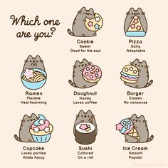 the different kinds of cats that are eating donuts and other things in their mouths