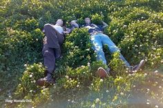 two people laying in the middle of a field