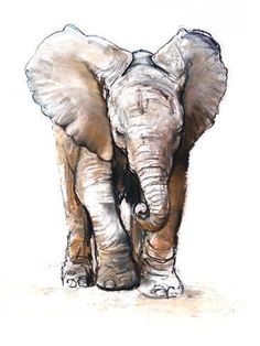 an elephant is shown in this drawing