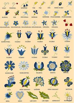 the different types of flowers are shown in blue and yellow colors on a beige background