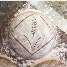 a stone with a plant etched on it