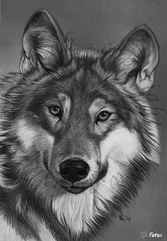 a drawing of a wolf with green eyes