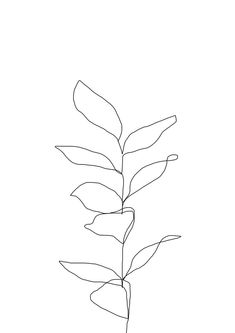 Geometric Plant Drawing, Sustainability Branding, Poetry Illustration, Line Drawing Illustration, Arte Doodle, Minimal Drawings, Single Line Drawing, Minimalist Drawing, Soyut Sanat Tabloları