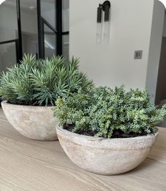 two cement planters sitting on top of a wooden table next to a mirror with plants in it