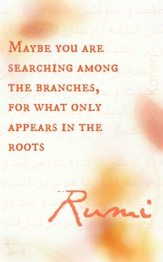 Maybe you are searching among the branches, for what only appears in the roots. - Rumi Rumi Quotes On Love, Quotes On Love, Transcendental Meditation, Rumi Quotes, The Roots, Rumi, Meditation, For Women, Orange