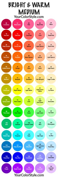 the color chart for bright and warm colors