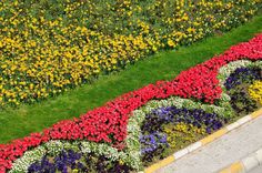 colorful flowers are arranged in the shape of a flower garden on top of a sidewalk