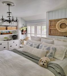 a white dog laying on top of a bed in a bedroom next to a chandelier