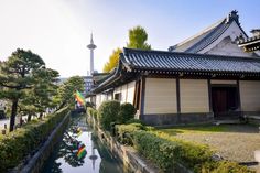 Planning to spend 14 days in Japan? Embark on a journey with our 2-week Japan travel itinerary, covering the best things to do. Things To Do In Tokyo, Meiji Shrine, Golden Pavilion, Yoyogi Park, Himeji Castle, Torii Gate, Osaka Castle