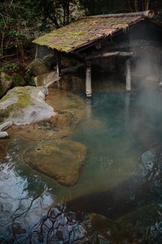 a hot spring in the middle of a forest with rocks and moss growing on it