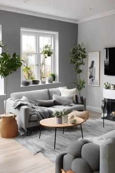 a living room filled with furniture and potted plants