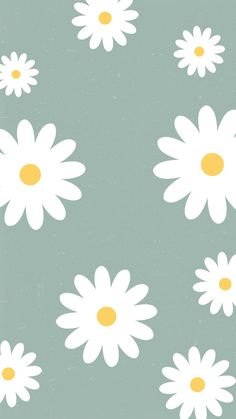 white daisies with yellow centers are on a green background that is slightly shabby