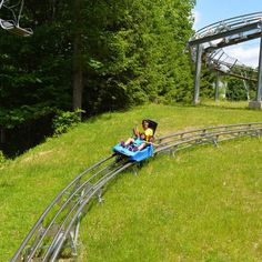 a man riding on the back of a roller coaster