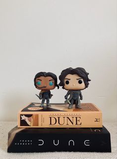 DUNE , Timothée chalamet , zendaya , Chani , Paul , desert, books Dune Funko Pop, Paul And Chani Dune, Dune Paul, Dune Wallpaper, Dune Aesthetic, Bookstagram Inspiration