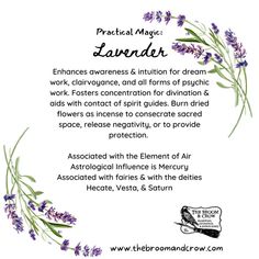 an advertisement with lavender flowers and the words practical magic lavender written in black ink on a white background