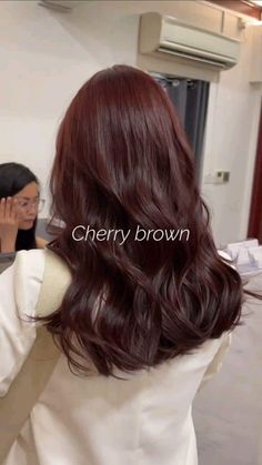 Best Hair Color On Tan Skin, Cherry Burnett Hair, Red Curly Hair On Brown Skin, Best Colours To Dye Brown Hair, Hair Color For Brunette Skin, Dark Magohany Brown Hair, Red Over Brown Hair No Bleach, Red Hair Color For Brown Skin Indian, Mid Length Dark Red Hair