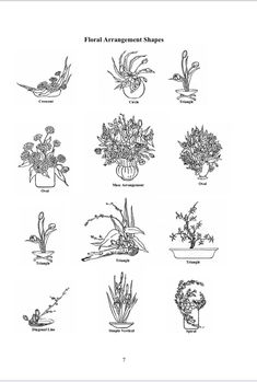 an image of flowers in vases drawn by hand on white paper with red border