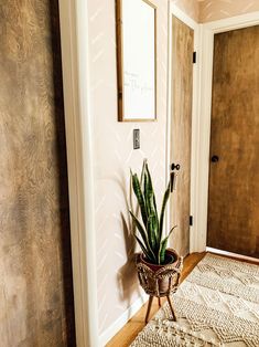 a potted plant sitting on top of a rug in front of a door way