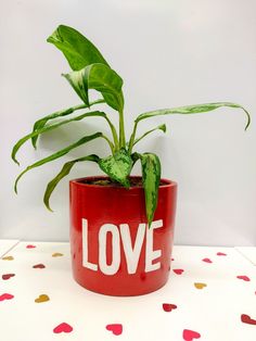 a potted plant with the word love painted on it's side sitting on a table