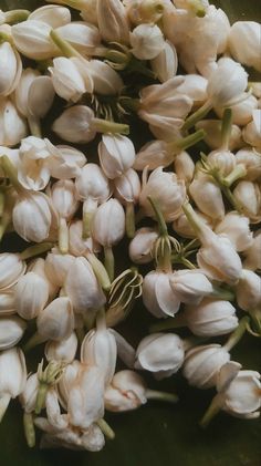 some white flowers that are on a green table top and in the middle of it's petals