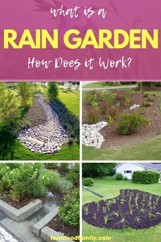 what is a rain garden how does it work?